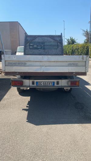 AUTOVEICOLI (Fallimenti)